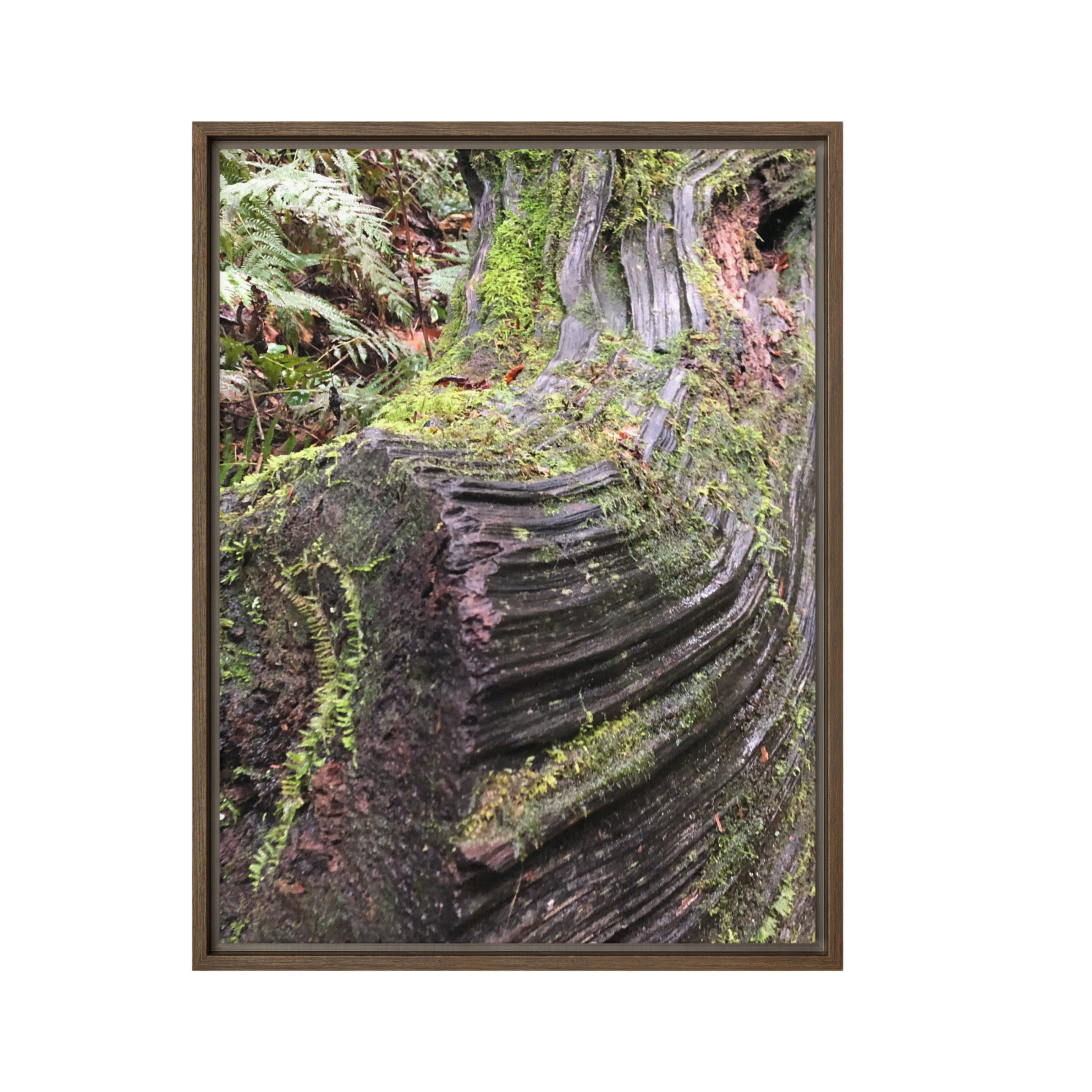 Naturally Twisted