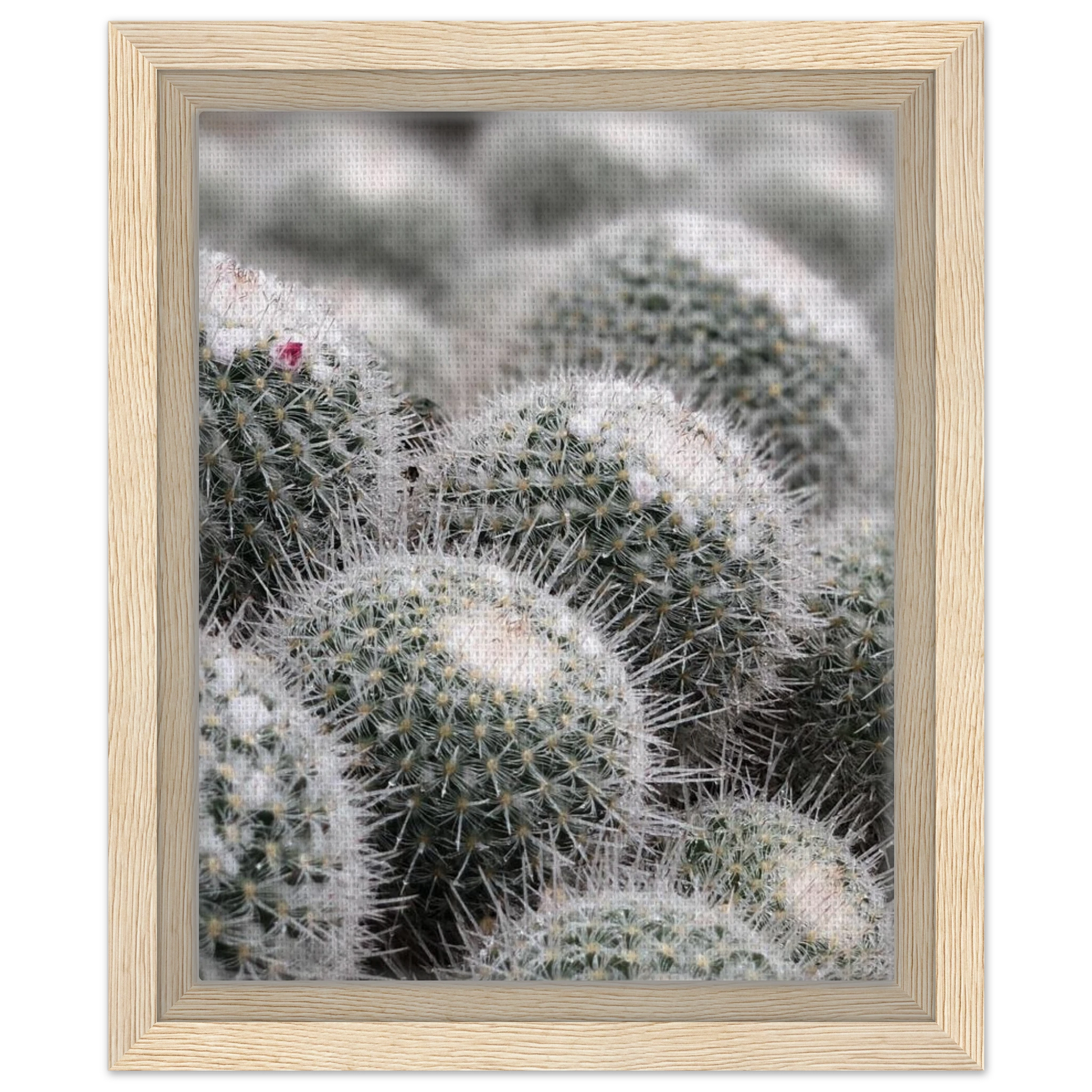 4e2a10f3-6da8-45aa-979c-cba4359d5a51