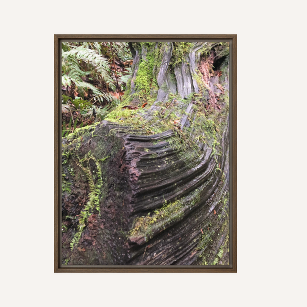 Naturally Twisted
