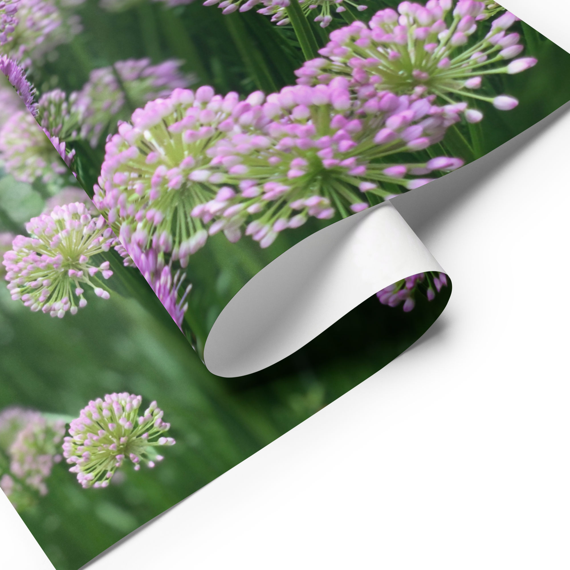 Floral Wrapping Paper